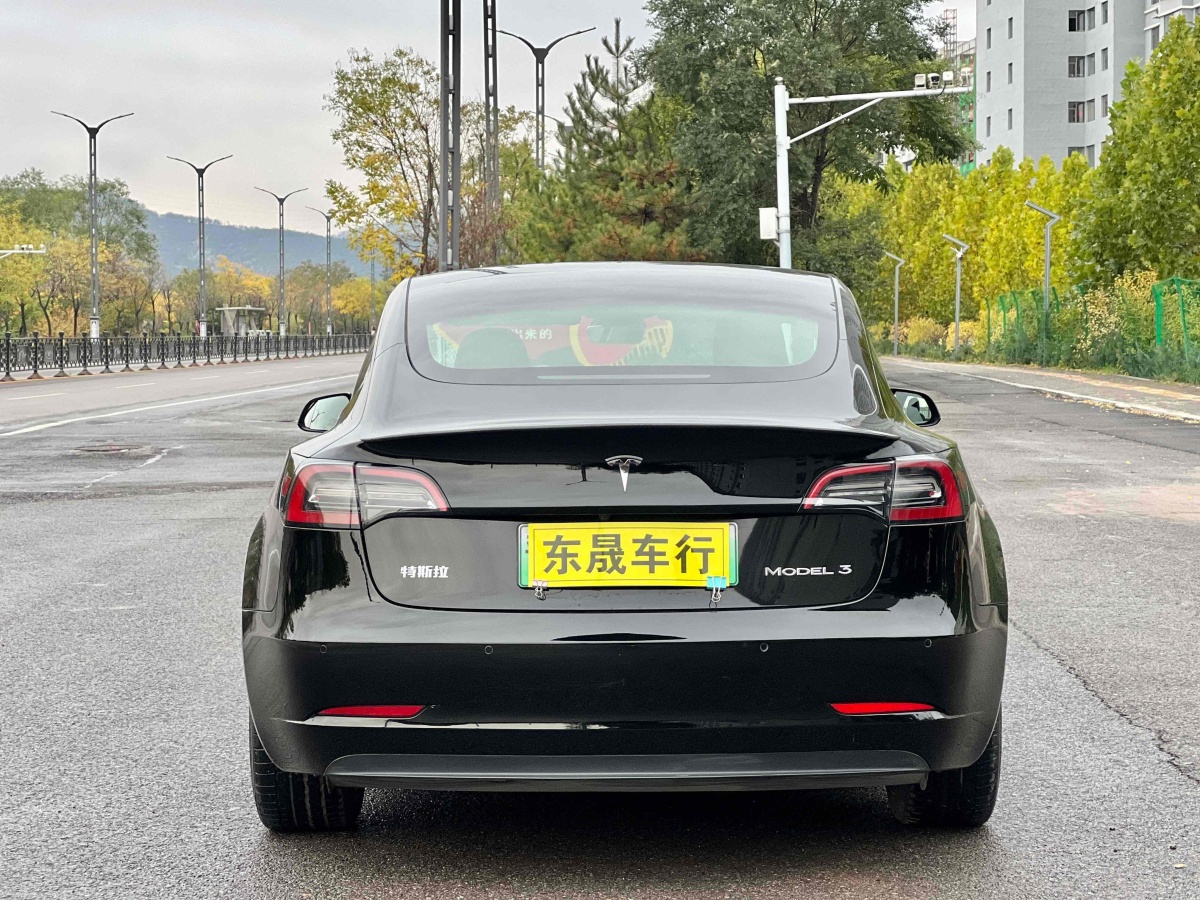 特斯拉 Model 3  2019款 標準續(xù)航后驅(qū)升級版圖片