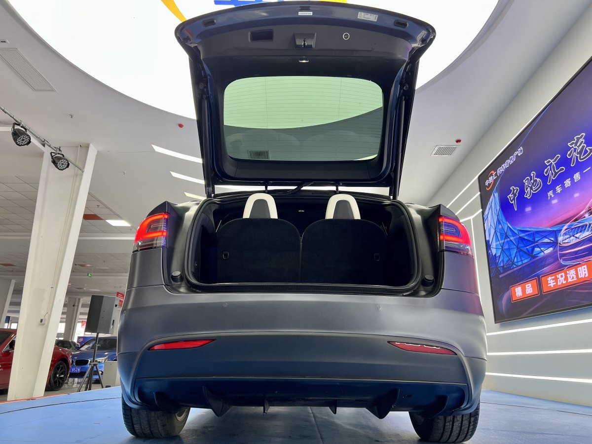 2019年10月特斯拉 Model X  2019款 长续航版