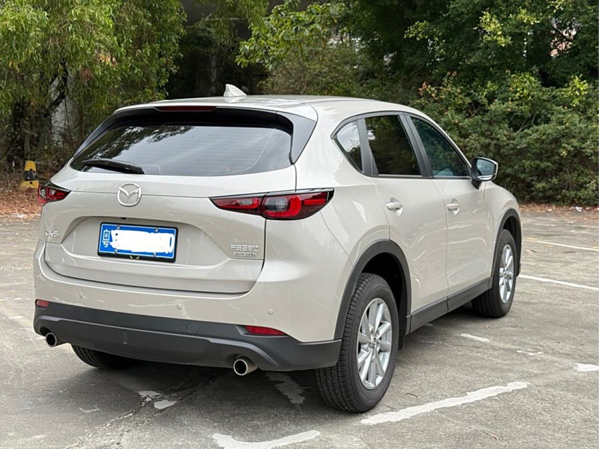 2024年4月馬自達(dá) CX-5  2024款 2.0L 自動(dòng)兩驅(qū)舒適型