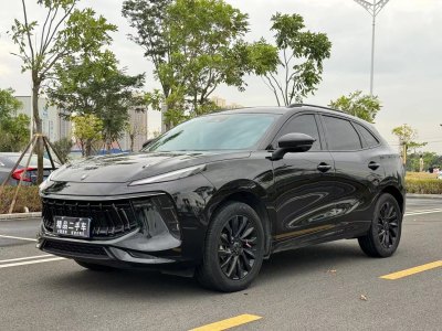 2022年8月 东风风行 风行T5 EVO 1.5TD DCT荣耀版图片