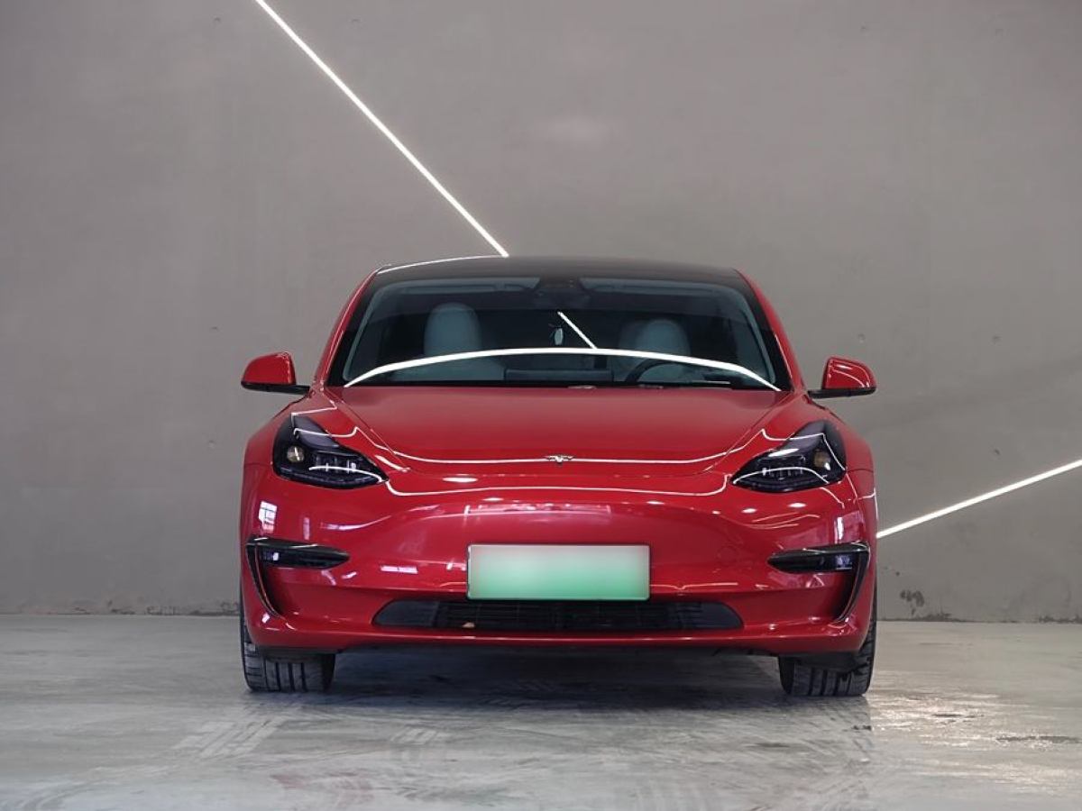 特斯拉 Model 3  2021款 改款 Performance高性能全輪驅(qū)動版圖片