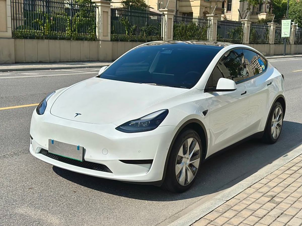 特斯拉 Model 3  2020款 改款 長(zhǎng)續(xù)航后輪驅(qū)動(dòng)版圖片