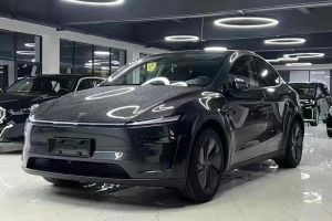Model Y 特斯拉 后輪驅(qū)動(dòng) 首發(fā)版