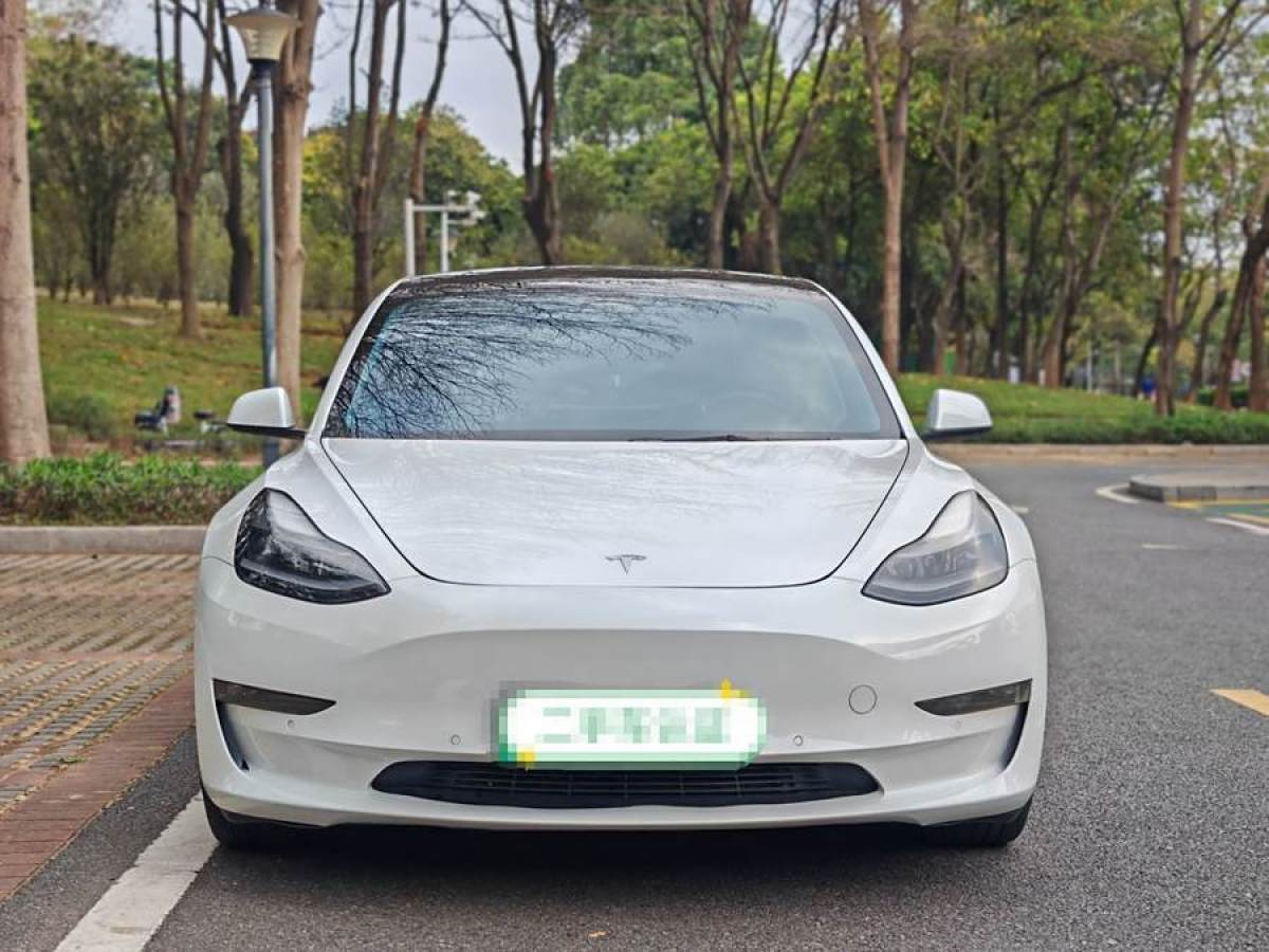 特斯拉 Model 3  2021款 改款 標準續(xù)航后驅(qū)升級版圖片