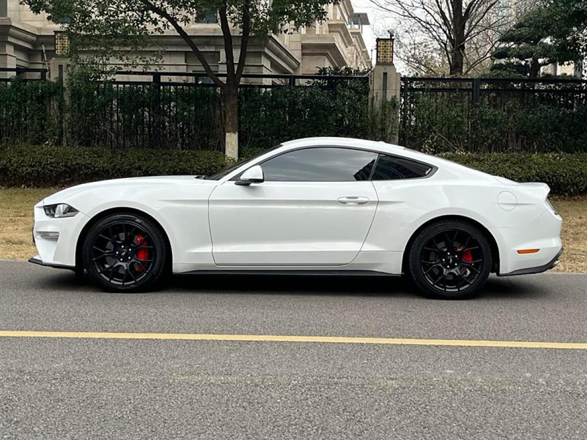 福特 Mustang  2019款 2.3L EcoBoost圖片