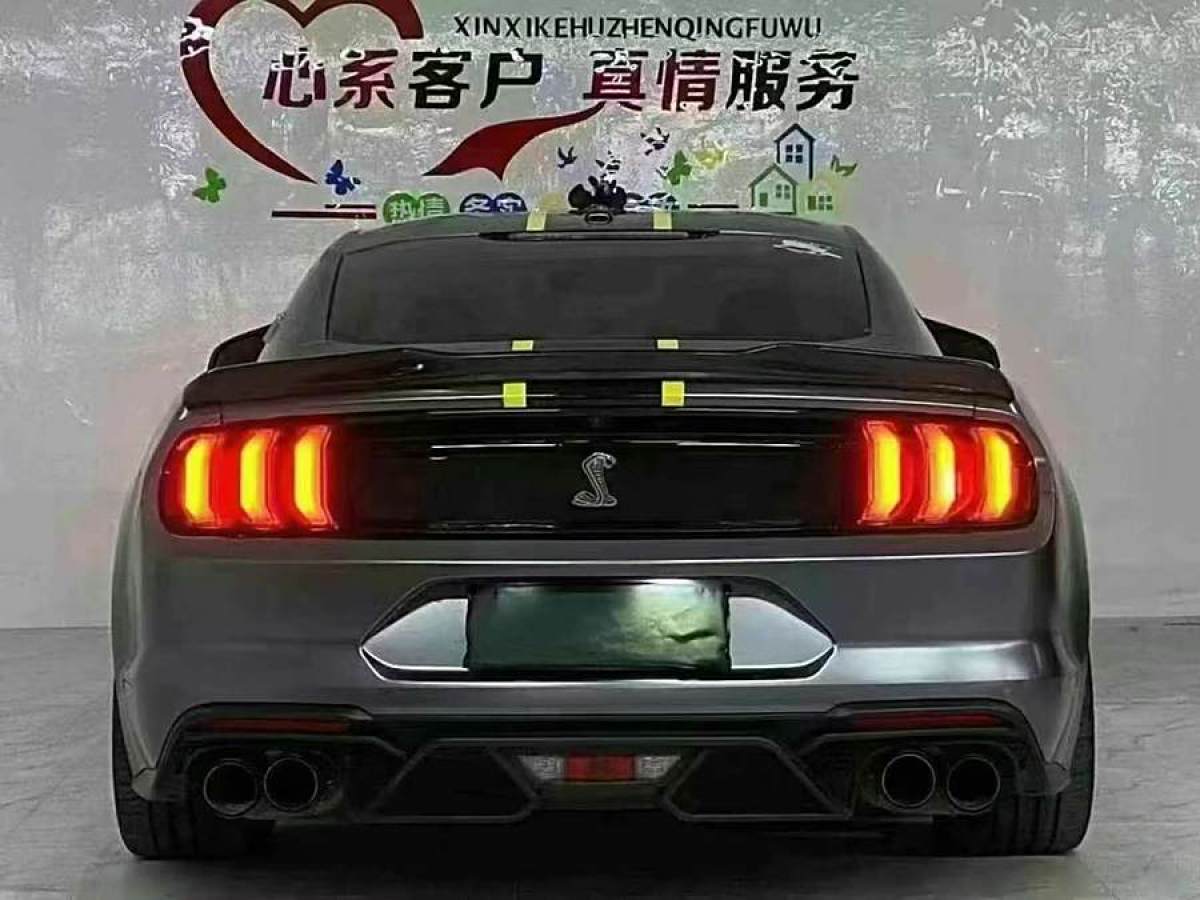 福特 Mustang  2020款 2.3L EcoBoost圖片