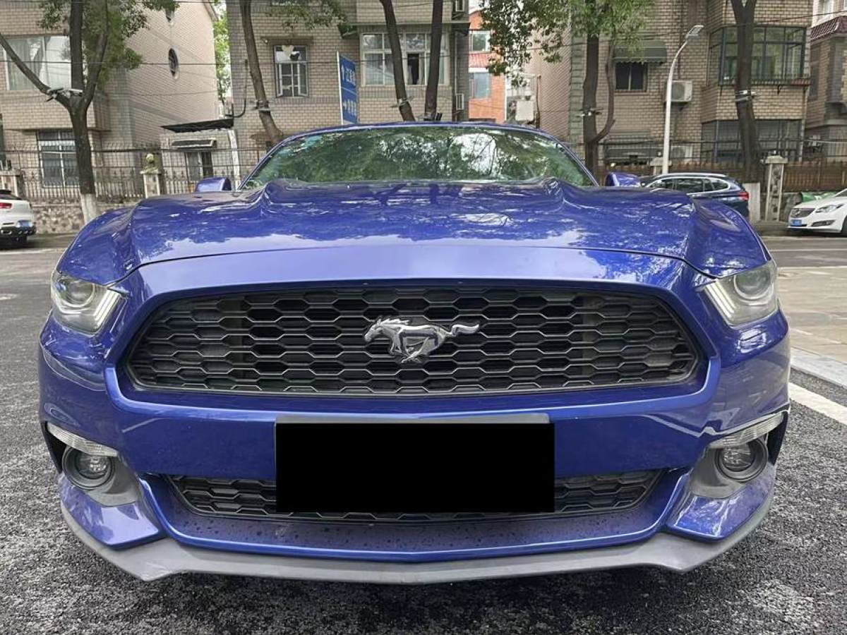 福特 Mustang  2015款 2.3T 性能版图片