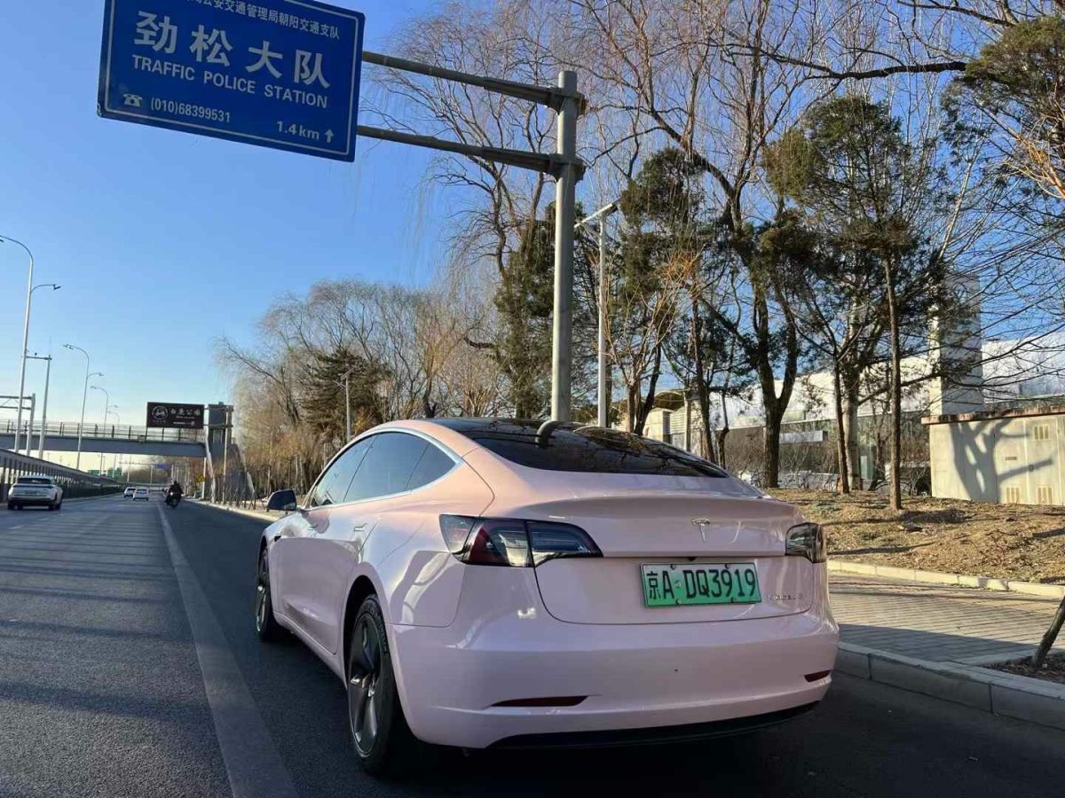 特斯拉 Model X  2020款 Performance 高性能版圖片