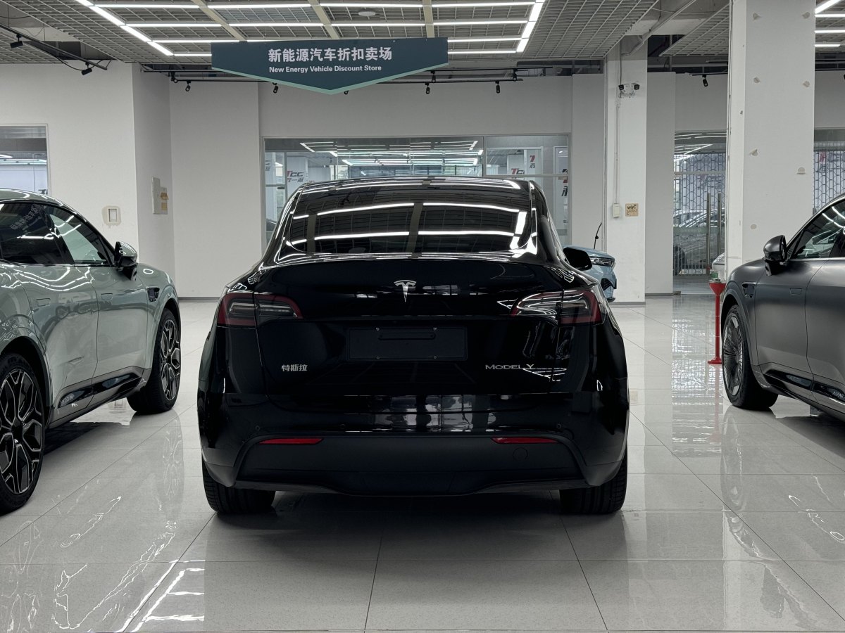 特斯拉 Model Y  2020款 改款 長續(xù)航后輪驅(qū)動版圖片