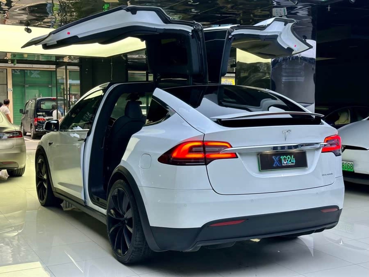 特斯拉 Model X  2019款 長續(xù)航版圖片