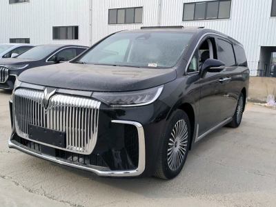 2024年11月 嵐圖 夢(mèng)想家 PHEV 四驅(qū)卓越鯤鵬版圖片