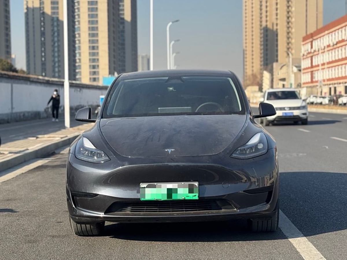 特斯拉 Model 3  2020款 改款 長續(xù)航后輪驅(qū)動版圖片