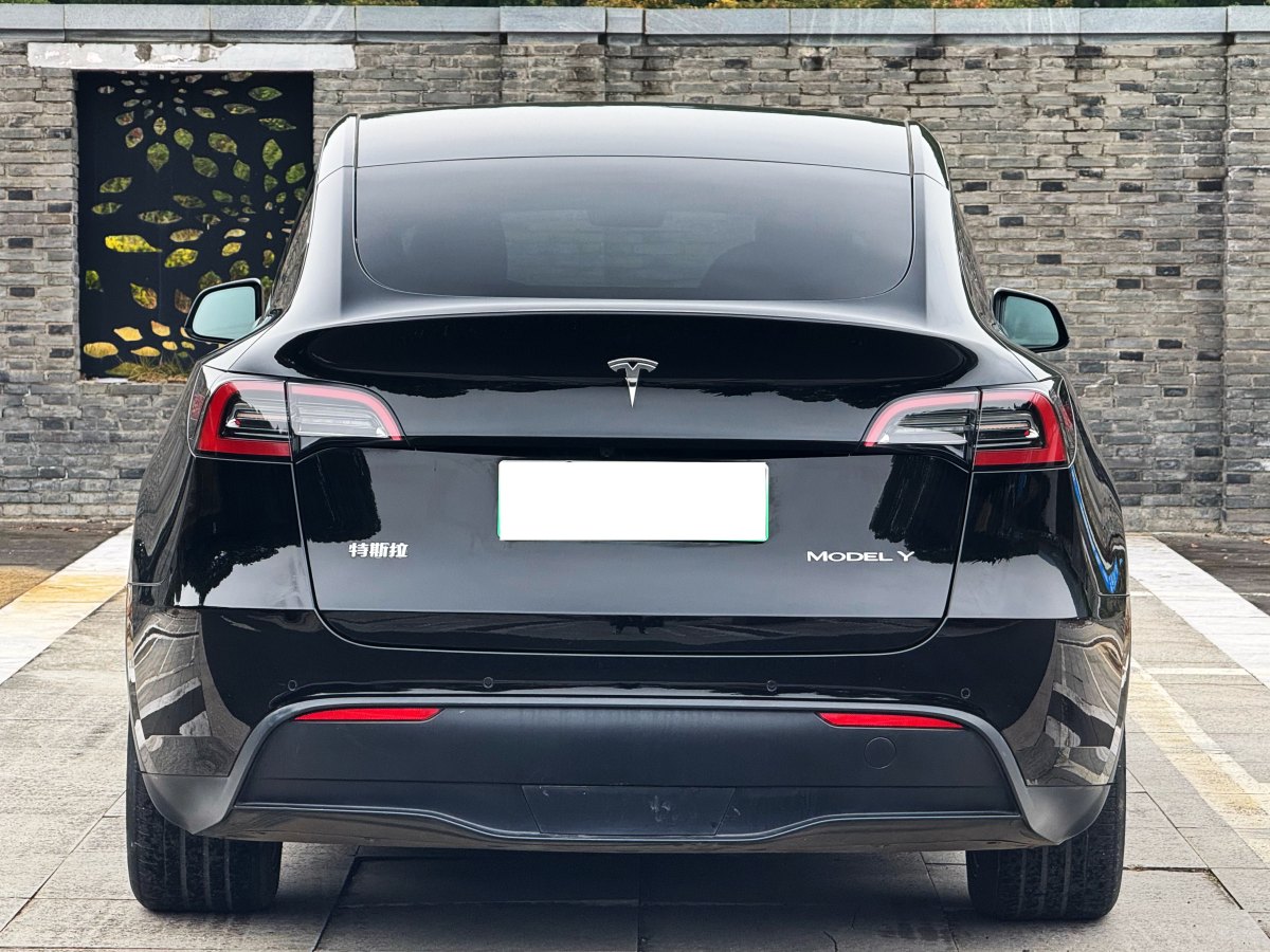 特斯拉 Model 3  2022款 后輪驅(qū)動版圖片