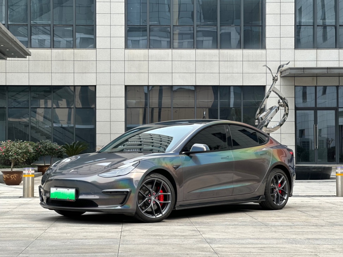 2021年3月特斯拉 Model 3  2021款 改款 Performance高性能全輪驅(qū)動版