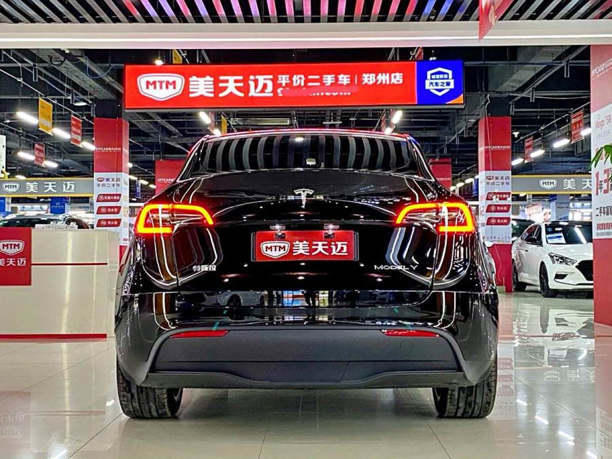 特斯拉 Model 3  2020款 改款 長續(xù)航后輪驅(qū)動版圖片