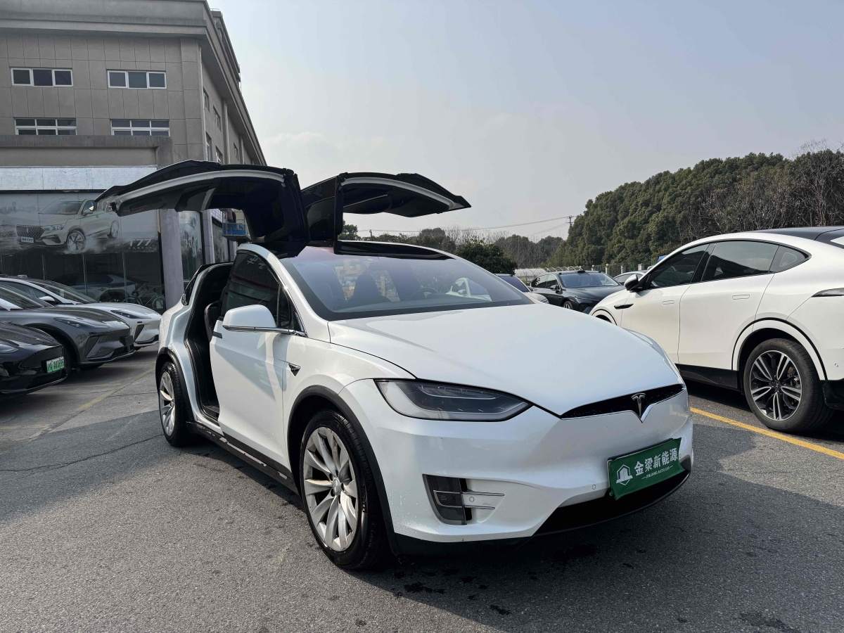 2019年4月特斯拉 Model X  2017款 Model X 100D 長(zhǎng)續(xù)航版