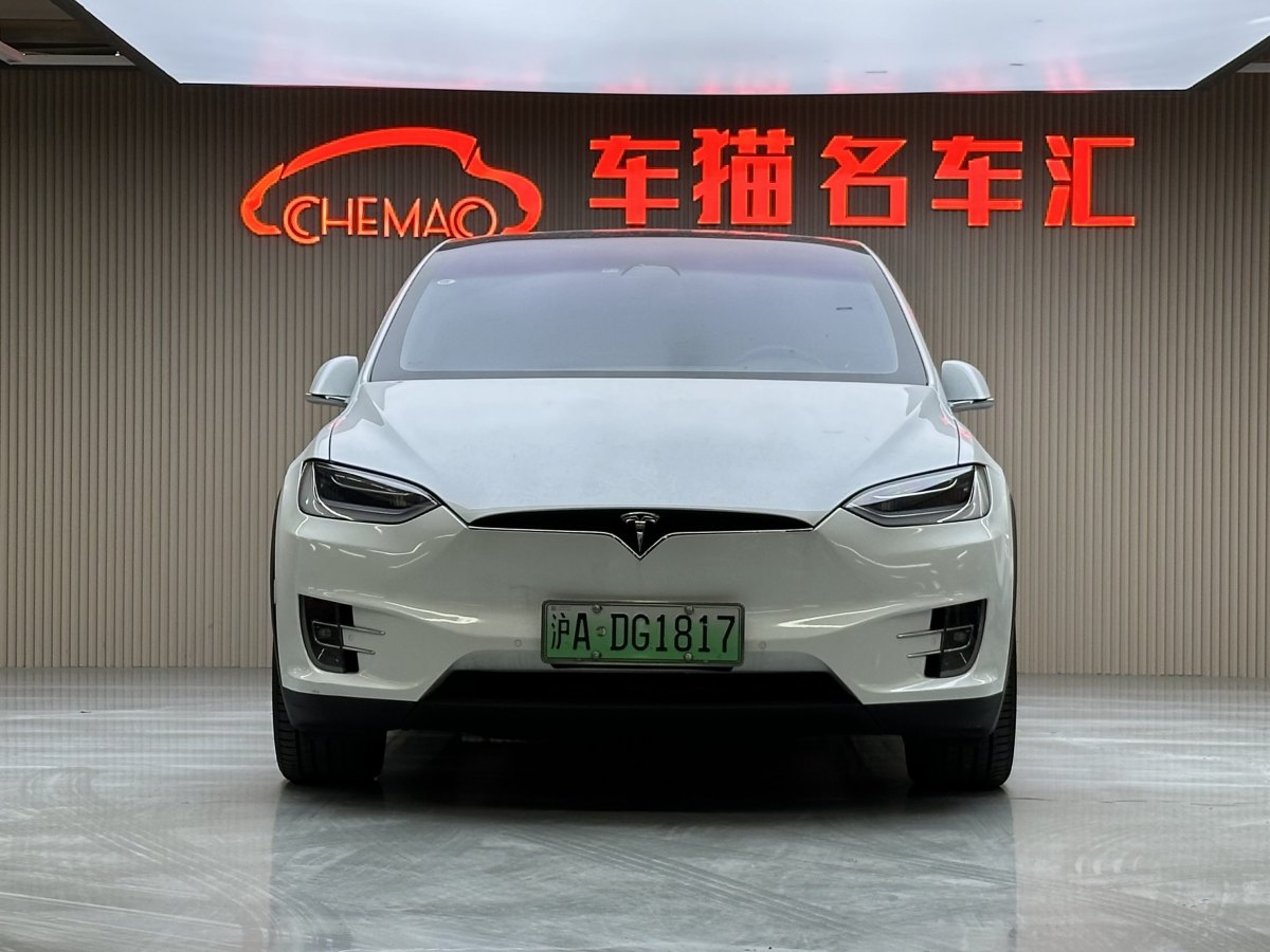 特斯拉 Model X  2019款 長(zhǎng)續(xù)航版圖片