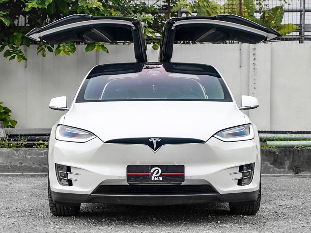 2018年8月特斯拉 Model X  2017款 Model X 100D 長(zhǎng)續(xù)航版