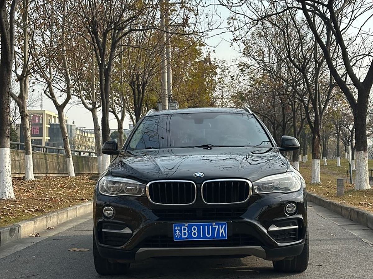 寶馬 寶馬X6  2017款 xDrive35i 領(lǐng)先型圖片