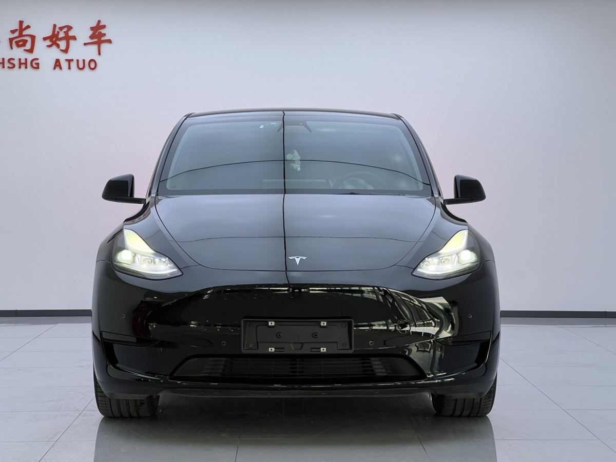 特斯拉 Model 3  2021款 標(biāo)準(zhǔn)續(xù)航后驅(qū)版圖片