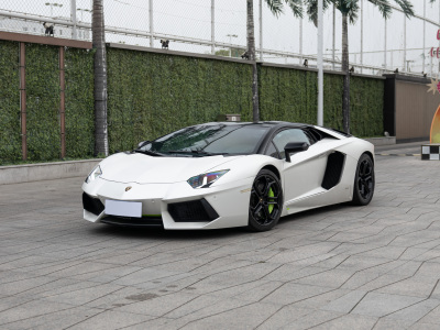 2013年6月 蘭博基尼 Aventador LP 700-4圖片