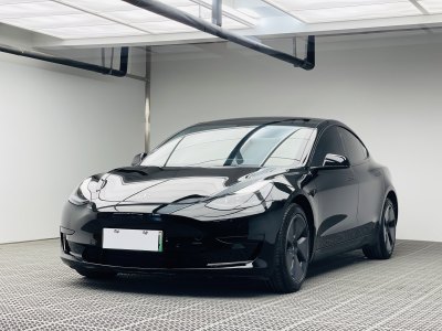 2021年5月 特斯拉 Model 3 標(biāo)準(zhǔn)續(xù)航后驅(qū)升級(jí)版圖片