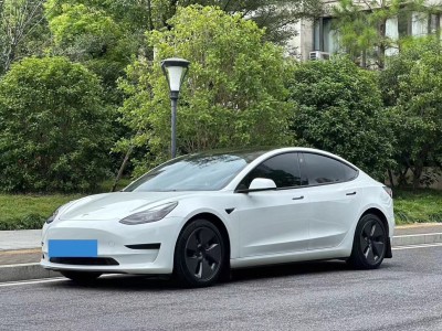 2021年05月 特斯拉 Model 3 標準續(xù)航后驅(qū)升級版圖片