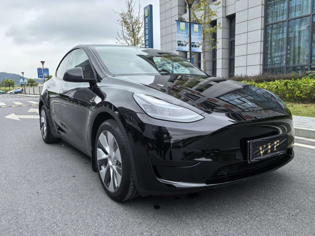 特斯拉 Model Y  2021款 改款 標準續(xù)航后驅(qū)升級版圖片