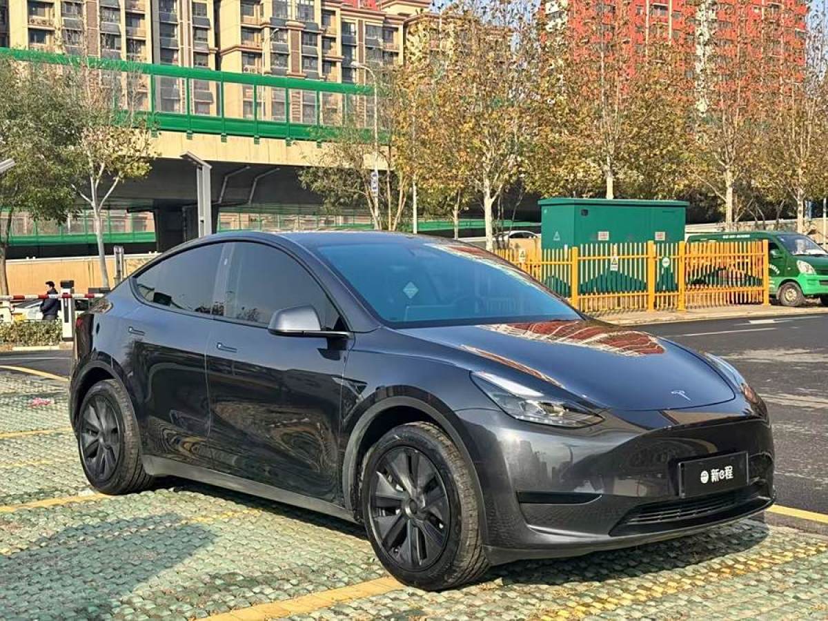 特斯拉 Model 3  2020款 改款 長續(xù)航后輪驅(qū)動(dòng)版圖片