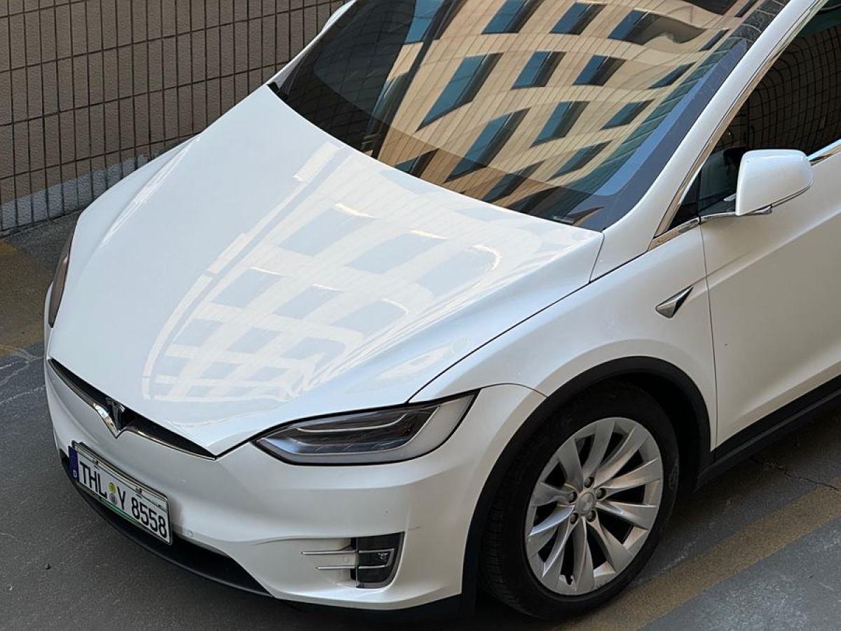 特斯拉 Model X  2016款 Model X 75D圖片