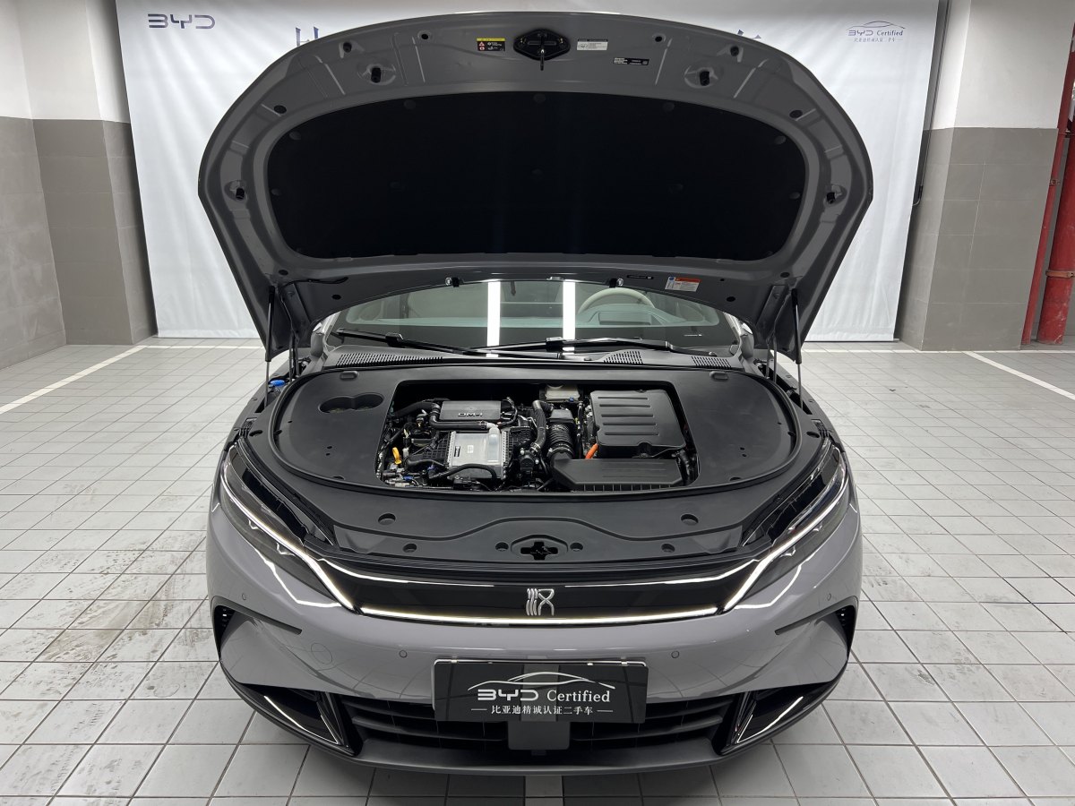2024年11月比亞迪 漢  2025款 DM-i 125KM尊榮型