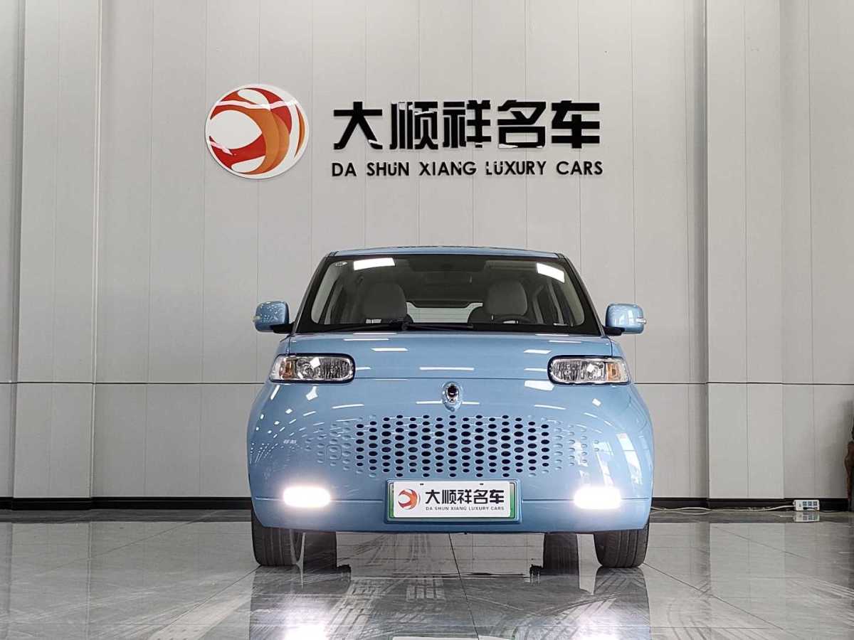 欧拉 欧拉白猫  2020款 305km 豪华型图片