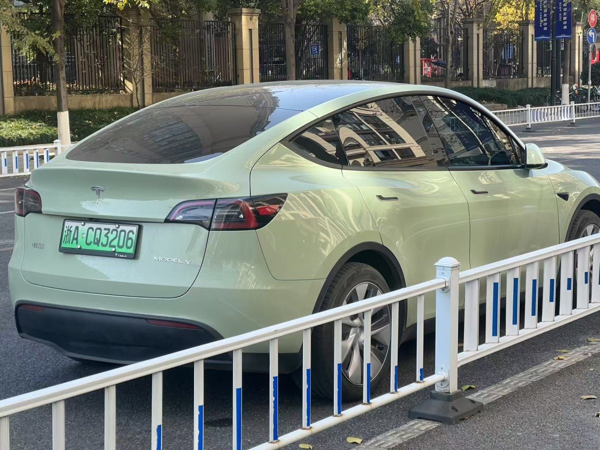 特斯拉 Model 3  2020款 改款 長(zhǎng)續(xù)航后輪驅(qū)動(dòng)版圖片