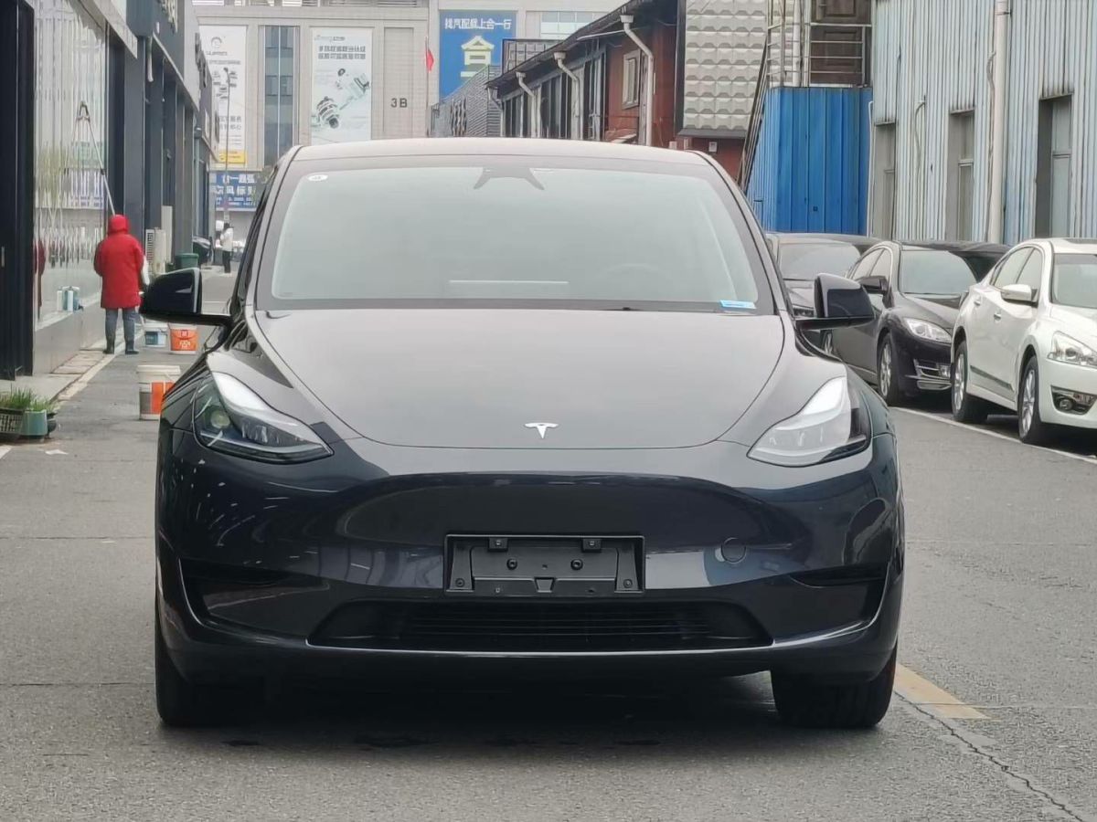 特斯拉 Model Y  2024款 Performance高性能版圖片