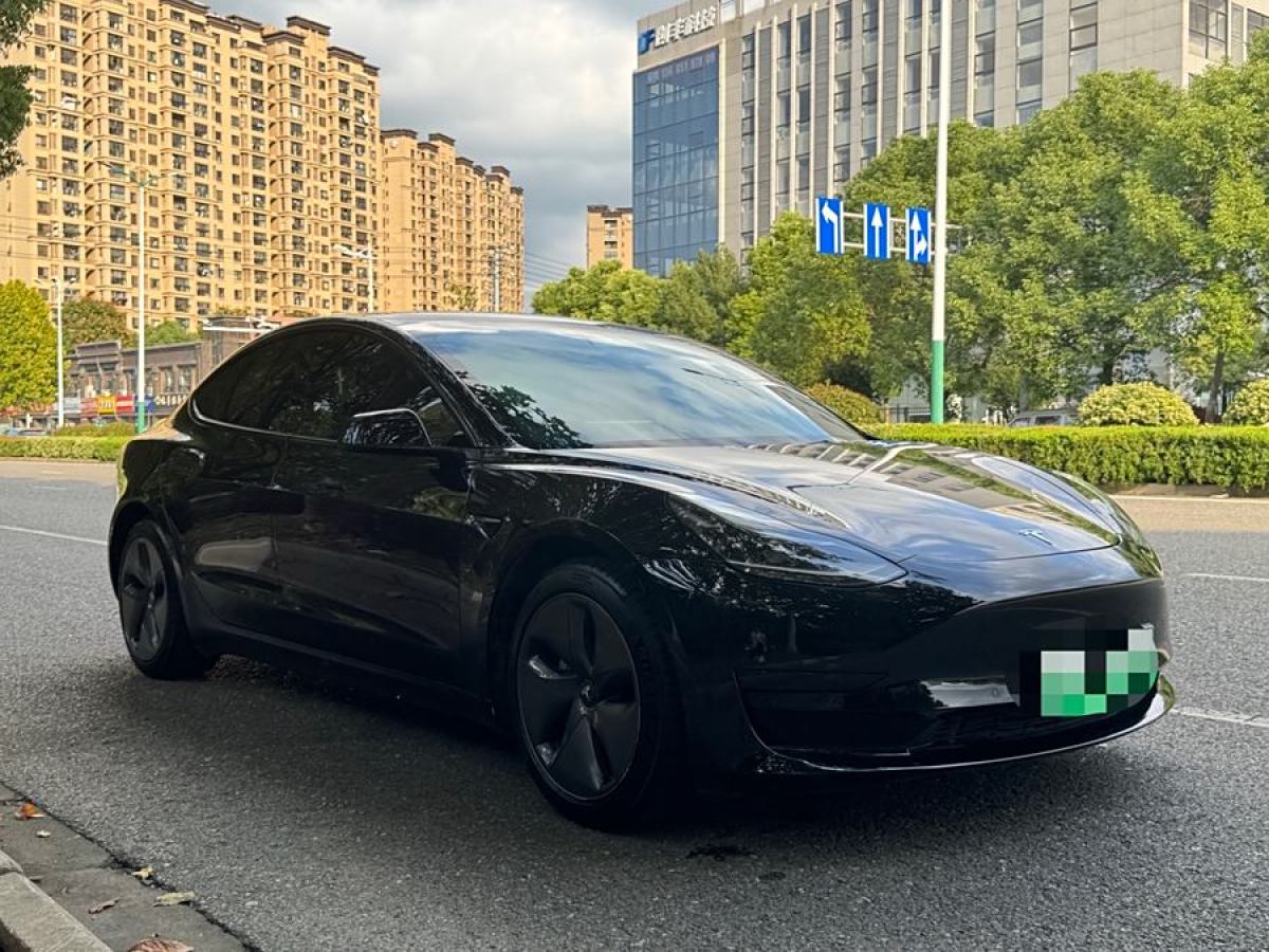 特斯拉 Model Y  2021款 改款 標(biāo)準(zhǔn)續(xù)航后驅(qū)升級(jí)版圖片