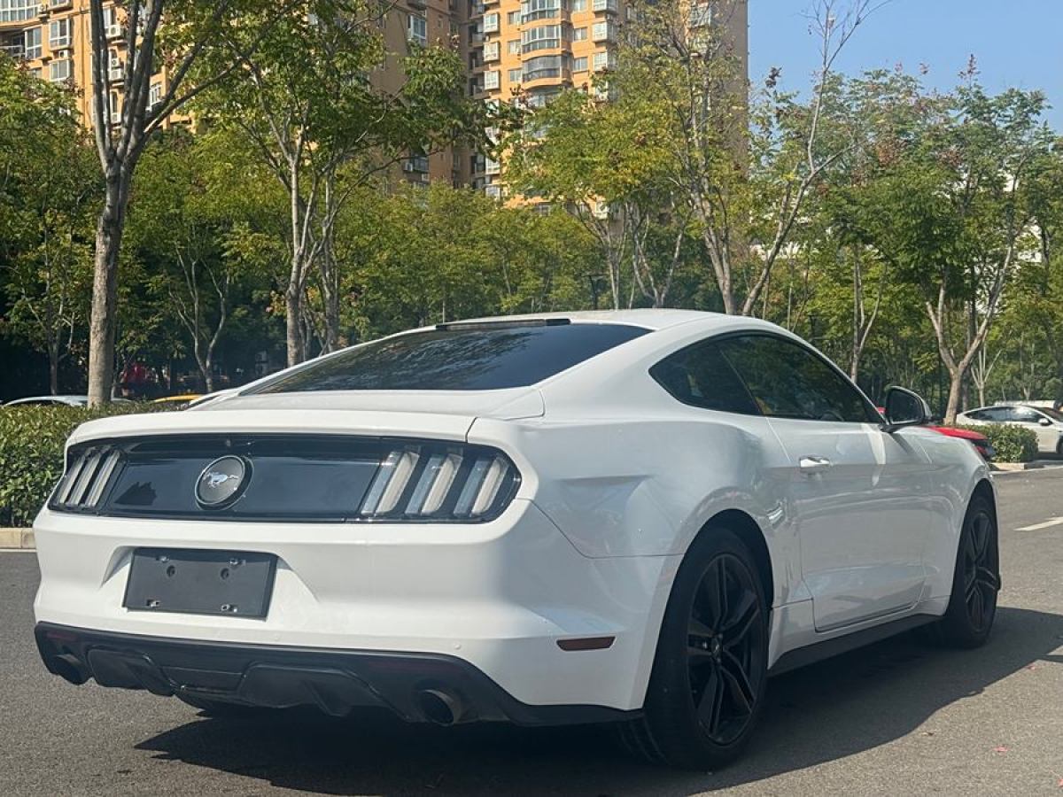 福特 Mustang  2015款 2.3T 性能版圖片