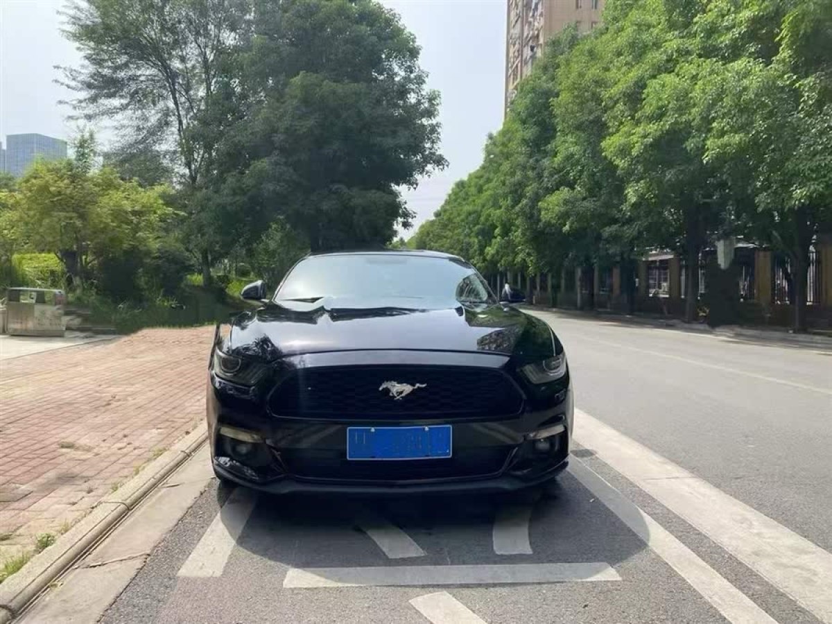 福特 Mustang  2015款 2.3T 性能版圖片