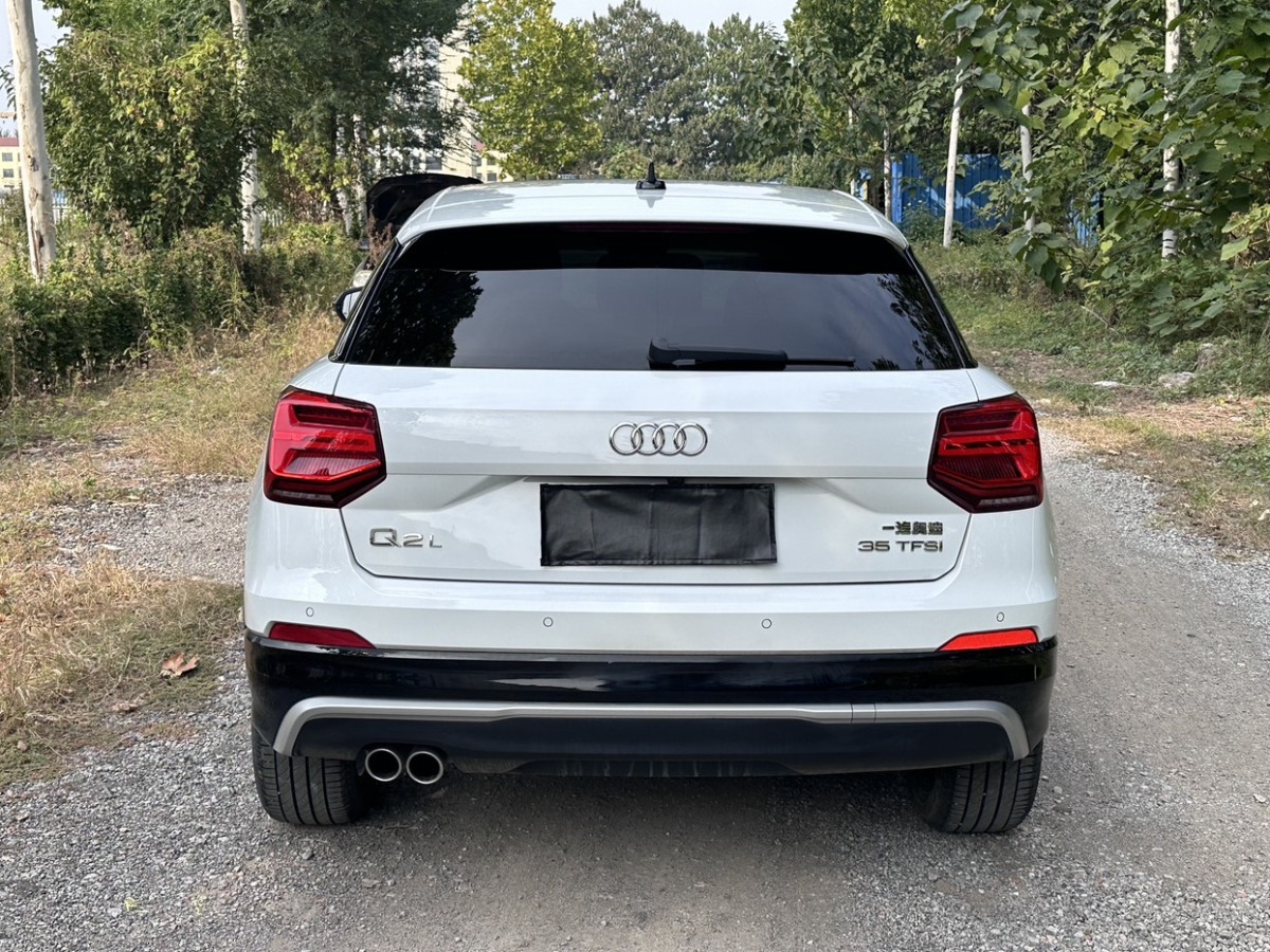 奧迪 奧迪Q2L  2020款 35TFSI 進(jìn)取動(dòng)感型圖片