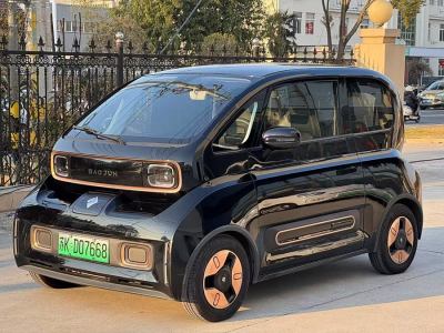 2021年9月 寶駿 寶駿KiWi EV 藝術(shù)家 三元鋰圖片