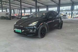 Model S 特斯拉 Performance 高性能版