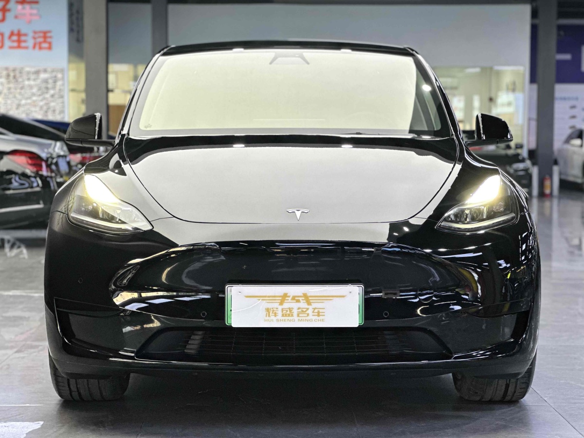 特斯拉 Model 3  2022款 后輪驅(qū)動版圖片