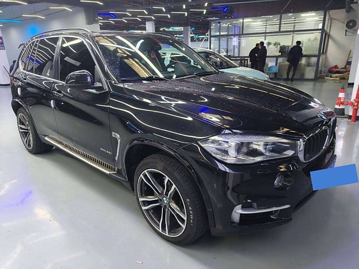 寶馬 寶馬X5  2014款 xDrive35i 領(lǐng)先型圖片