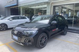 奧迪Q5L 奧迪 45 TFSI 豪華動(dòng)感型