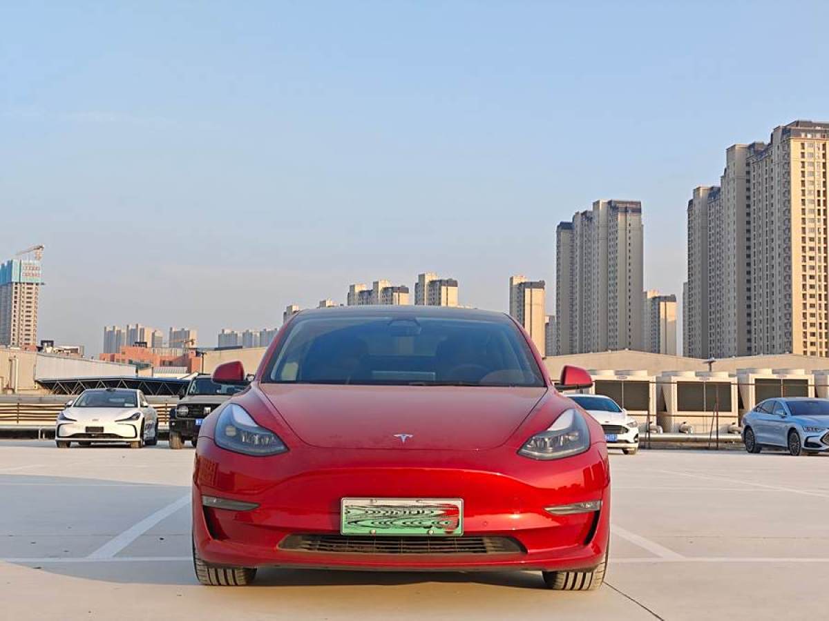 特斯拉 Model Y  2021款 Performance高性能全輪驅(qū)動(dòng)版圖片