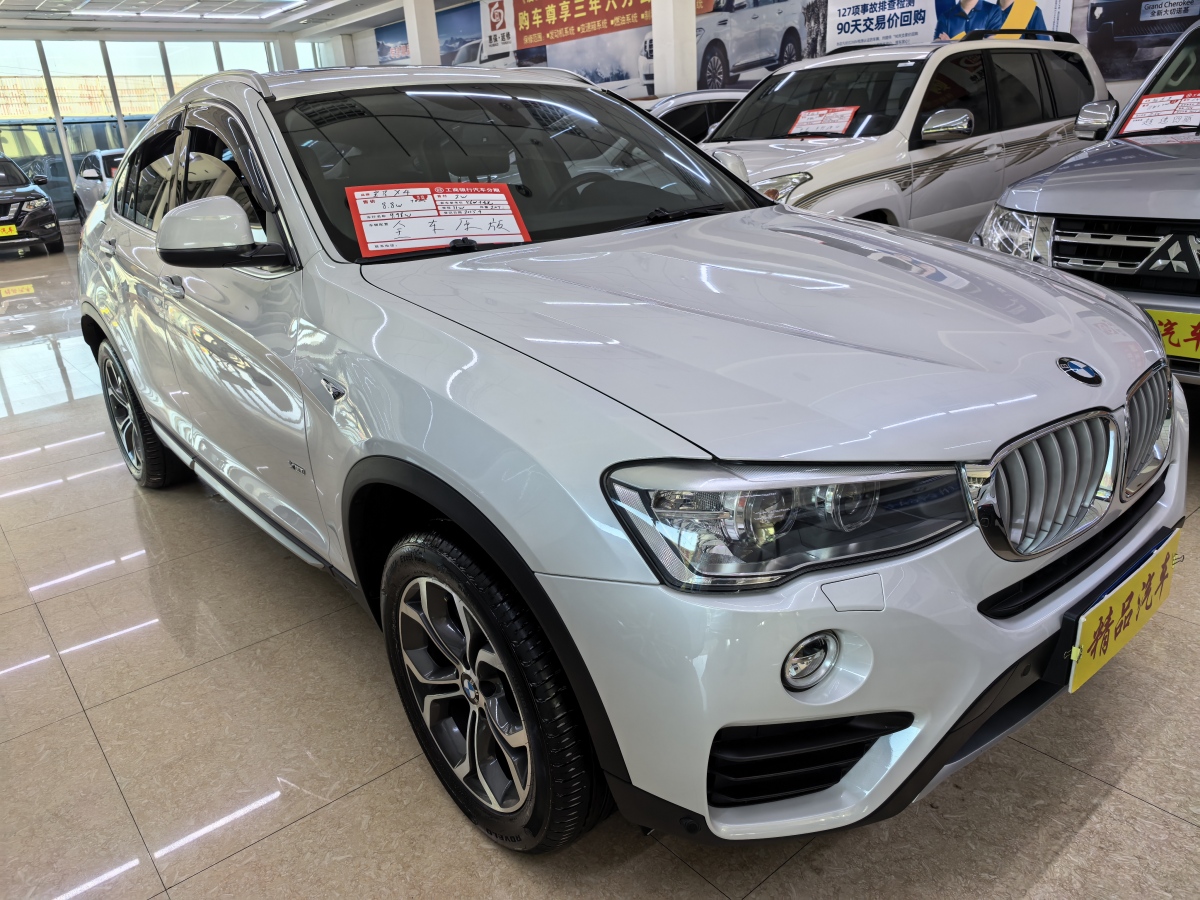 寶馬 寶馬X4  2014款 xDrive20i X設(shè)計(jì)套裝圖片