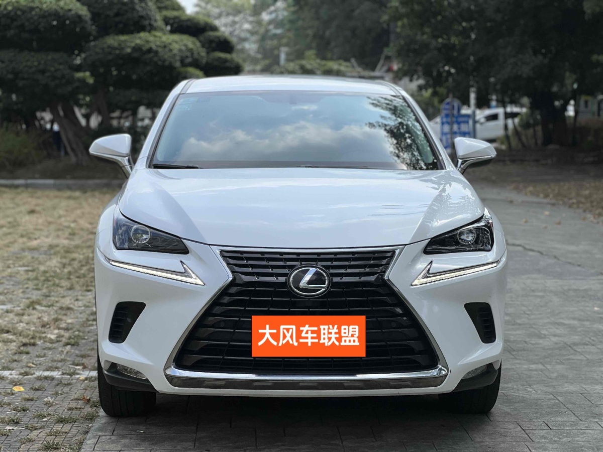 雷克薩斯 NX  2020款 300 前驅 鋒行版 國V圖片