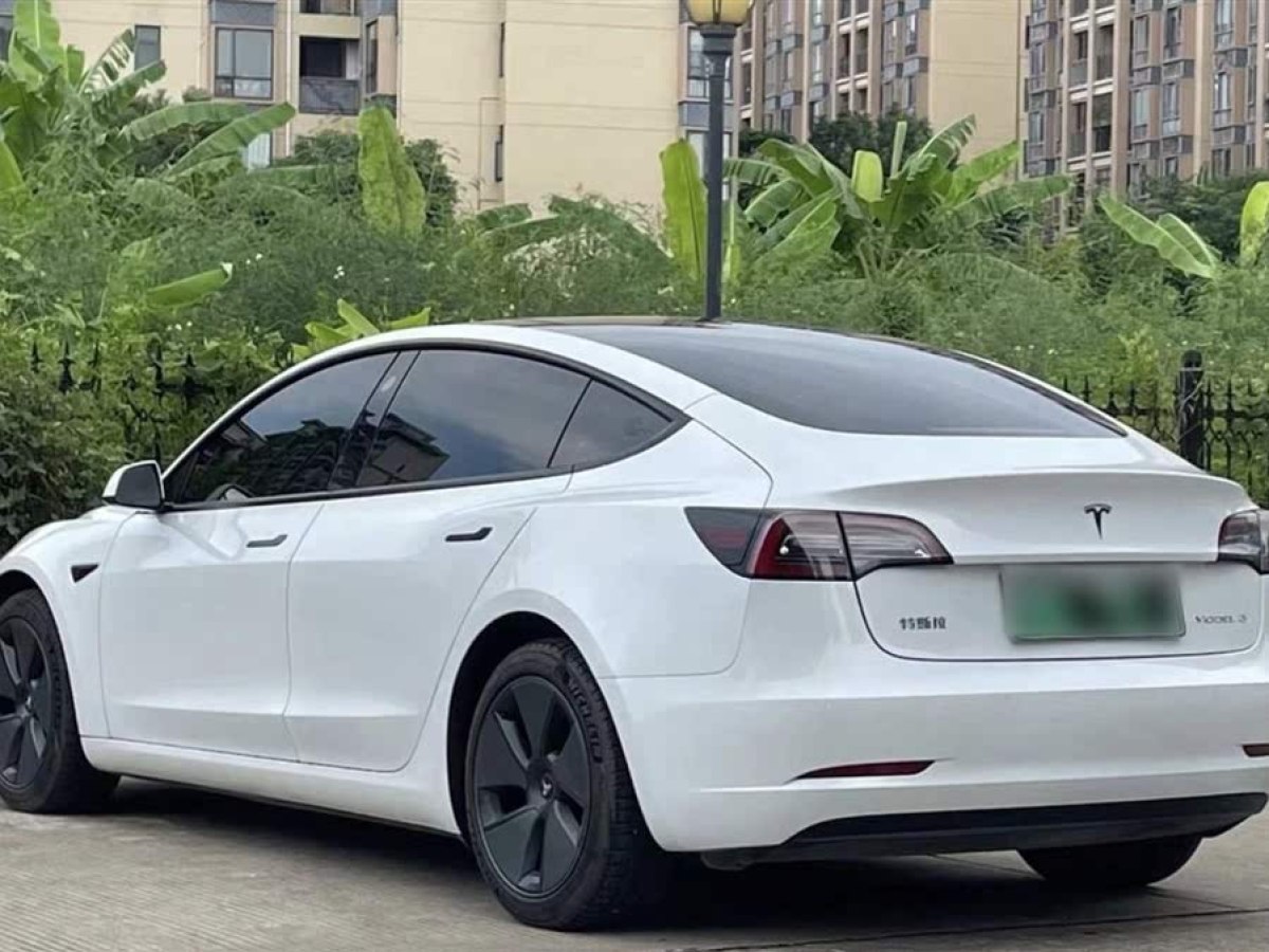 特斯拉 Model 3  2021款 改款 標(biāo)準(zhǔn)續(xù)航后驅(qū)升級(jí)版圖片