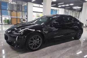 Model 3 特斯拉 后輪驅(qū)動版