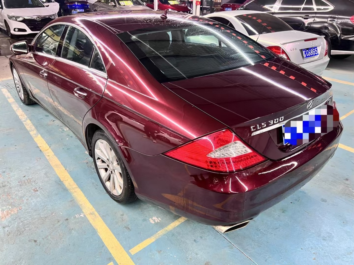 奔馳 奔馳CLS級  2009款 CLS 300圖片