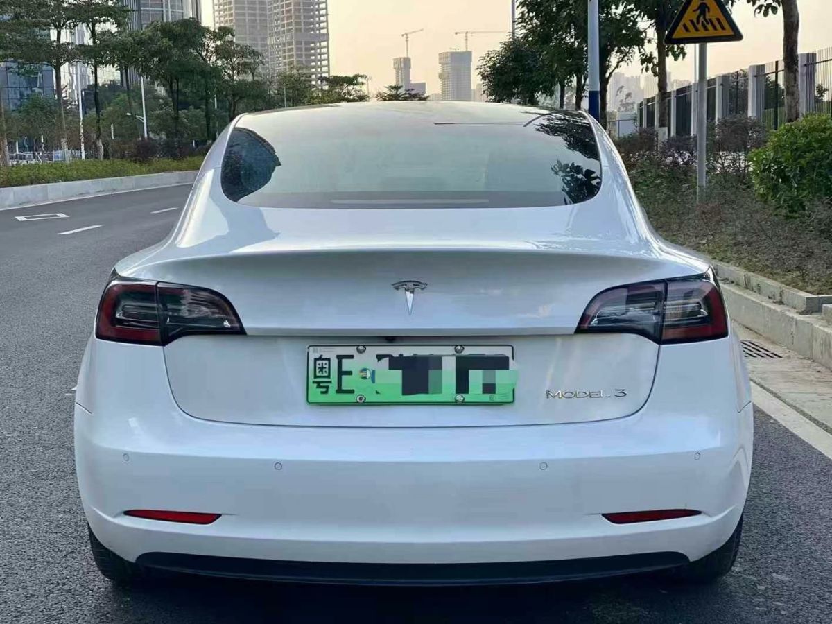 特斯拉 Model X  2020款 Performance 高性能版圖片